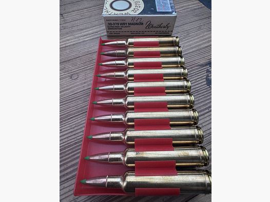 Weatherby Ballistic Tip