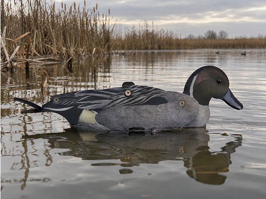 NRA FUD Northern Shoveler 6 sztuk + GOLD-RACE 7,5 ml - Lotto