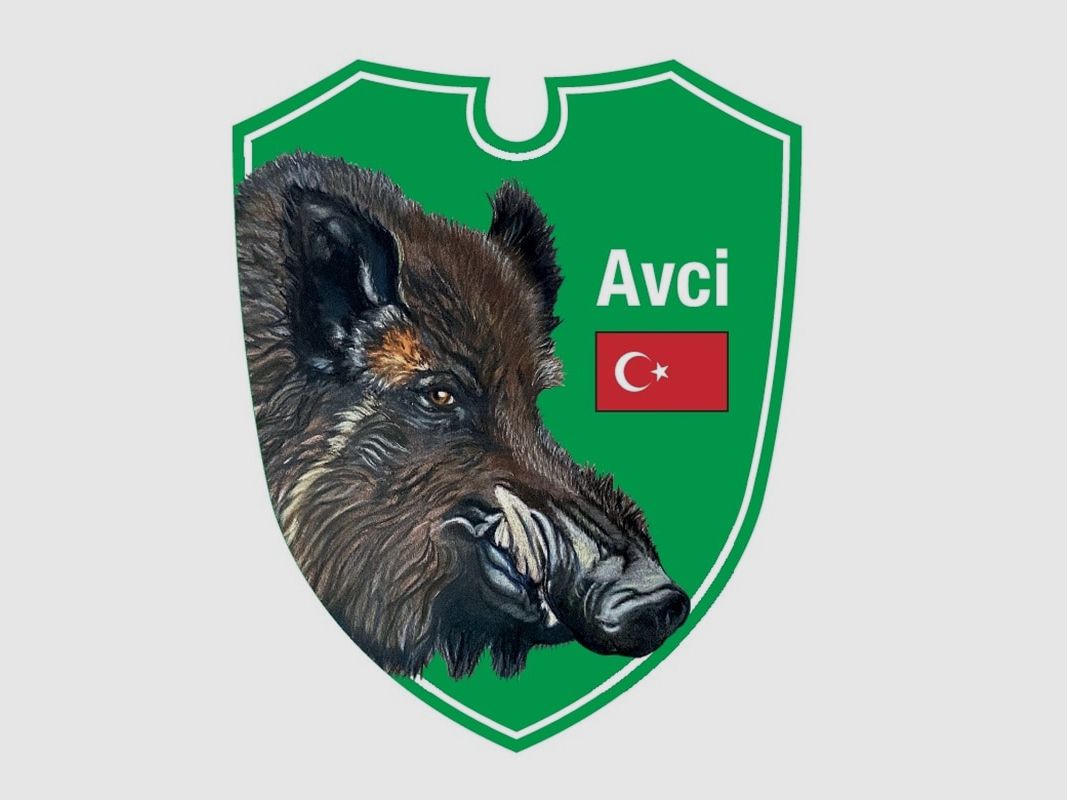 Dual optics car hunting signs wild boar