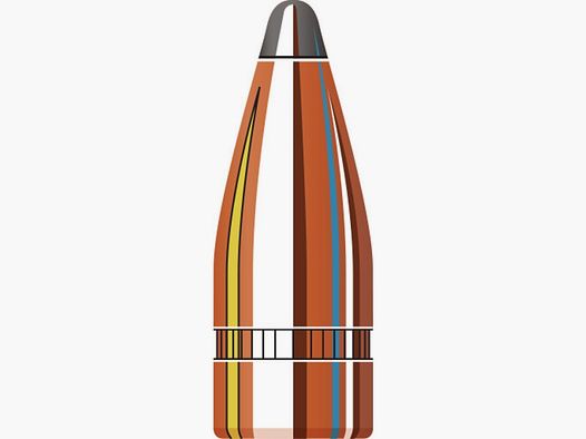 Bala Hornady 7,62x39/.310 SP 123GR 100 piezas