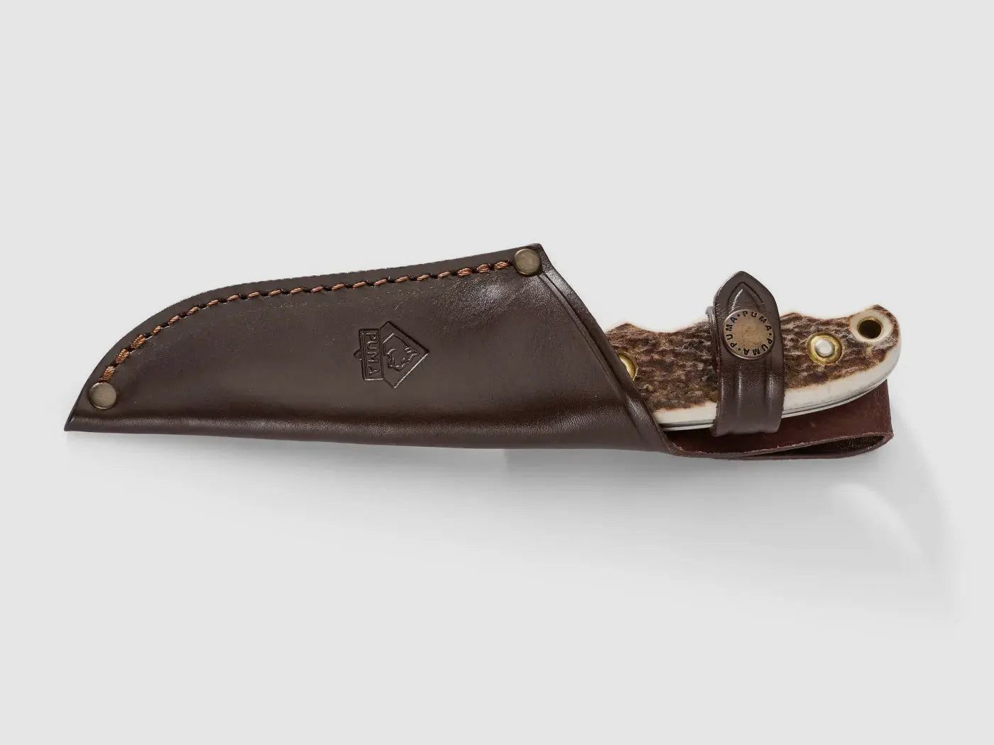 PUMA wild boar, stag horn