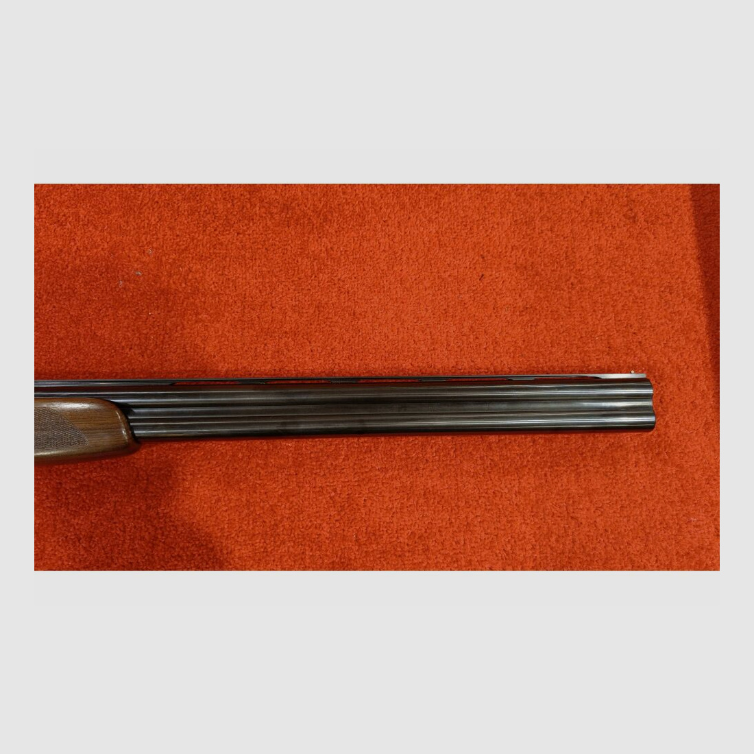 Double-barreled shotgun Beretta SP 3 hunting 12/76