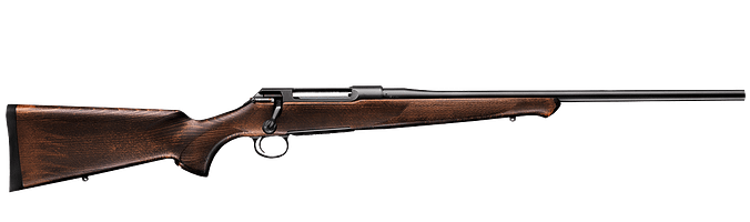 Sauer 100
