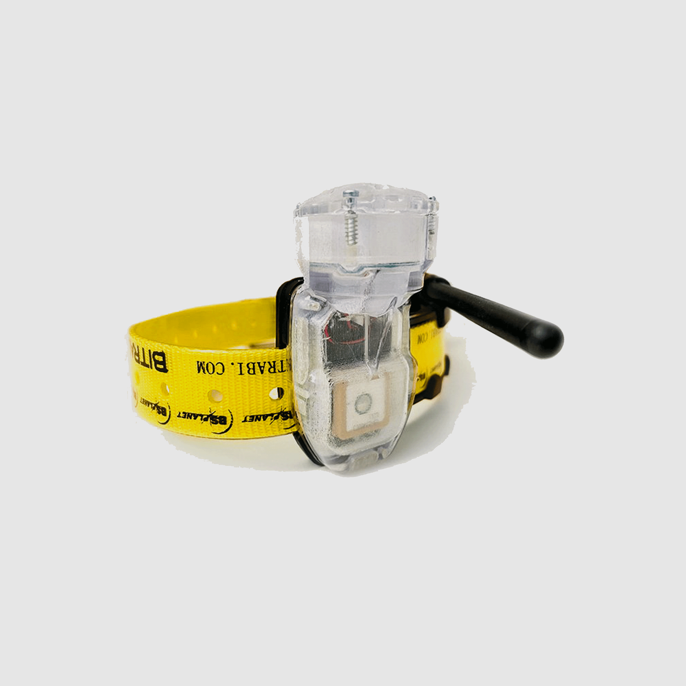 BITRABI – MITO 5200 HALSBAND GPS + GSM, Bild 3 von 4