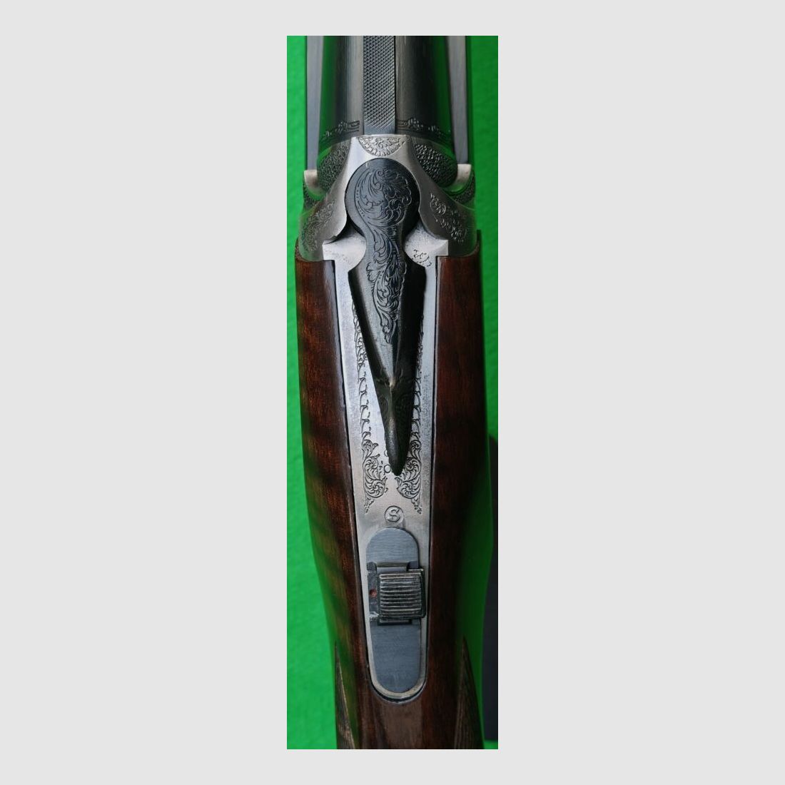 Rizzini