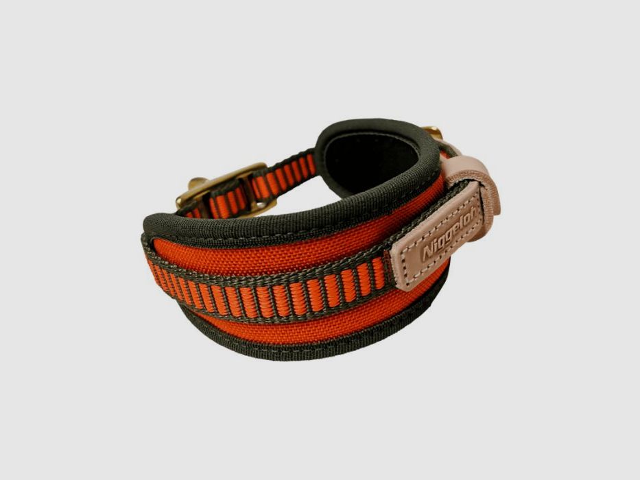 Niggeloh Collare da traccia arancione Taglia S (40-50 cm), immagine 1 di 4