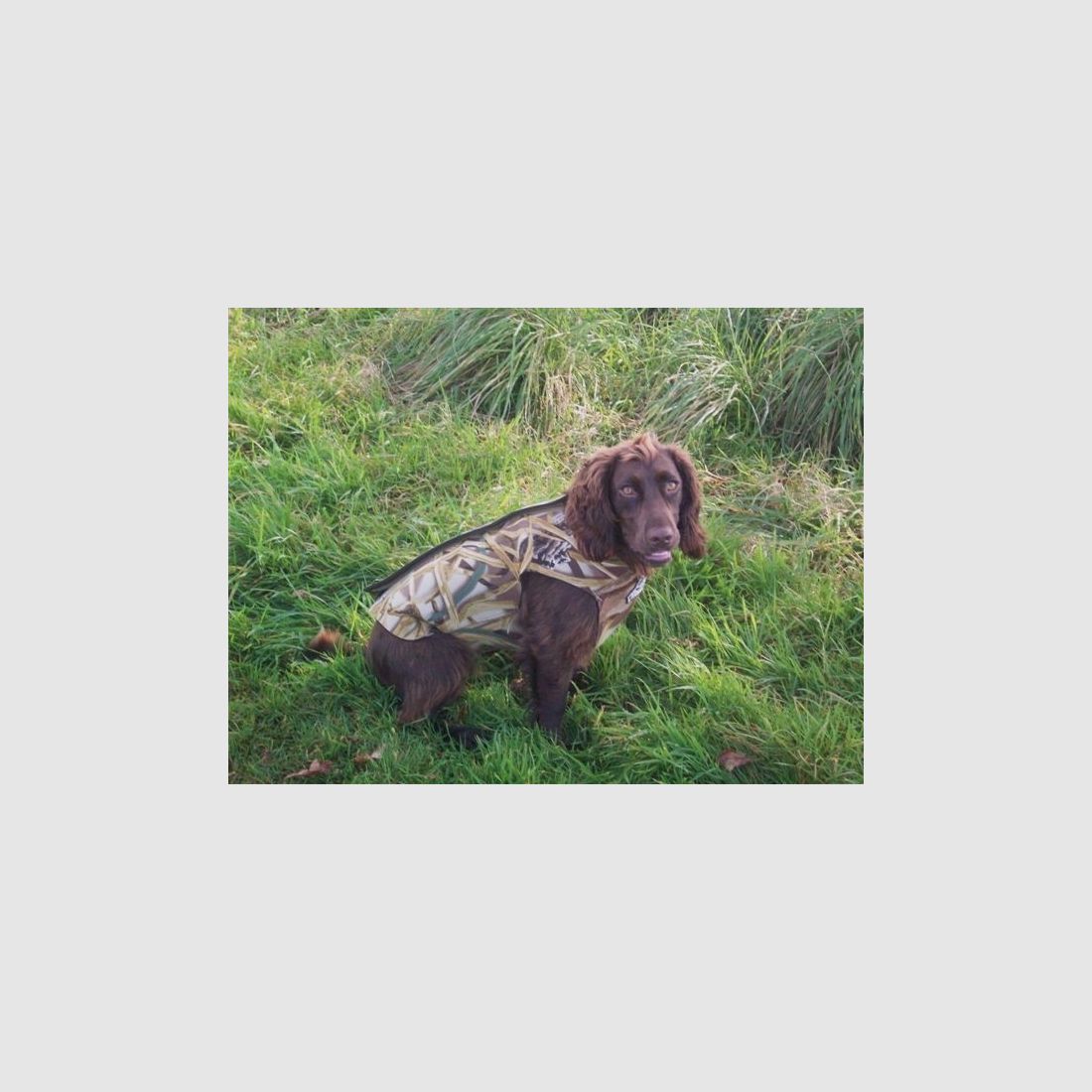 Dokken's Neopren-Hundeweste x-treme, Bild 2 von 6