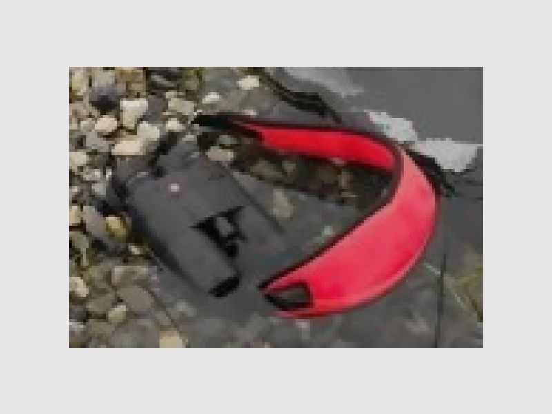 Leica swimming carrying strap