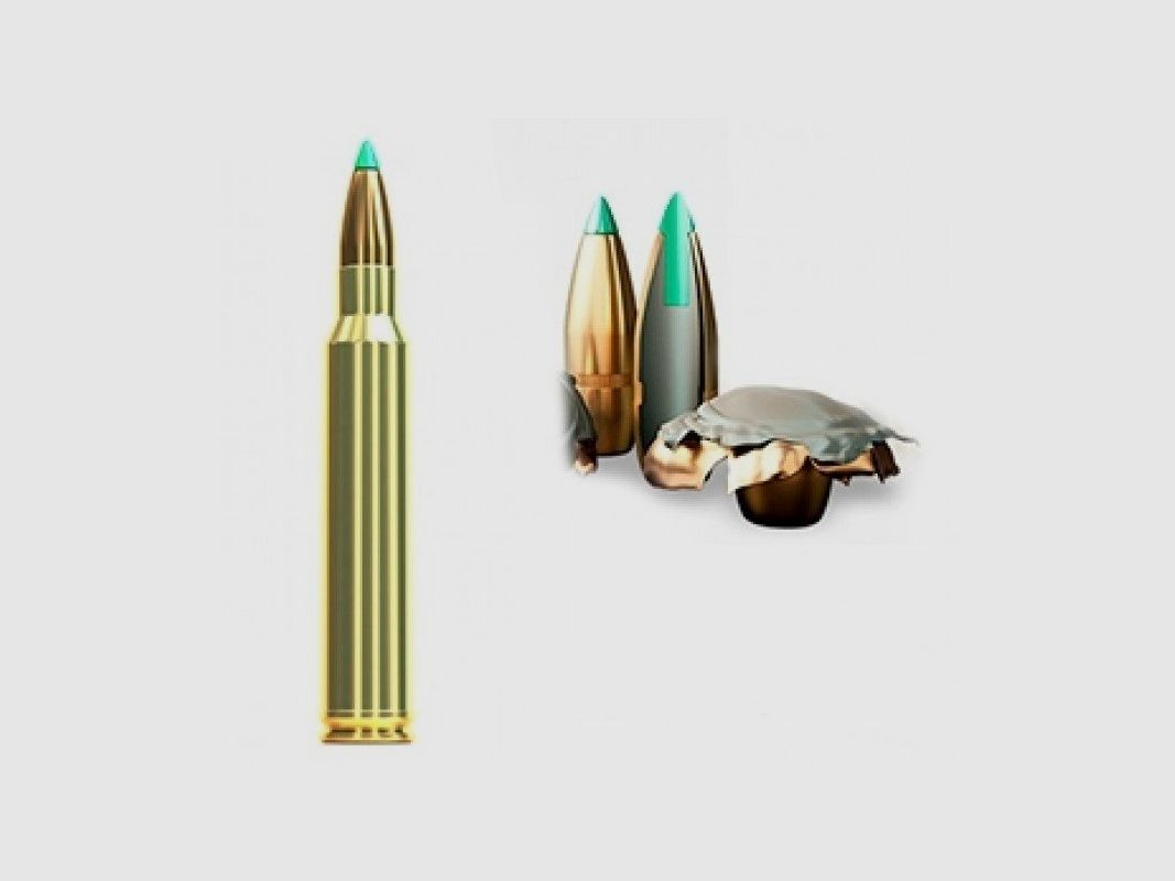 SELLIER & BELLOT 7mm Rem. Mag. PTS 162grs, Bild 2 von 2