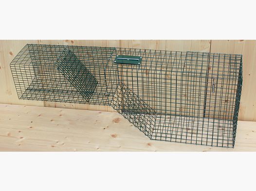 Wire young fox trap