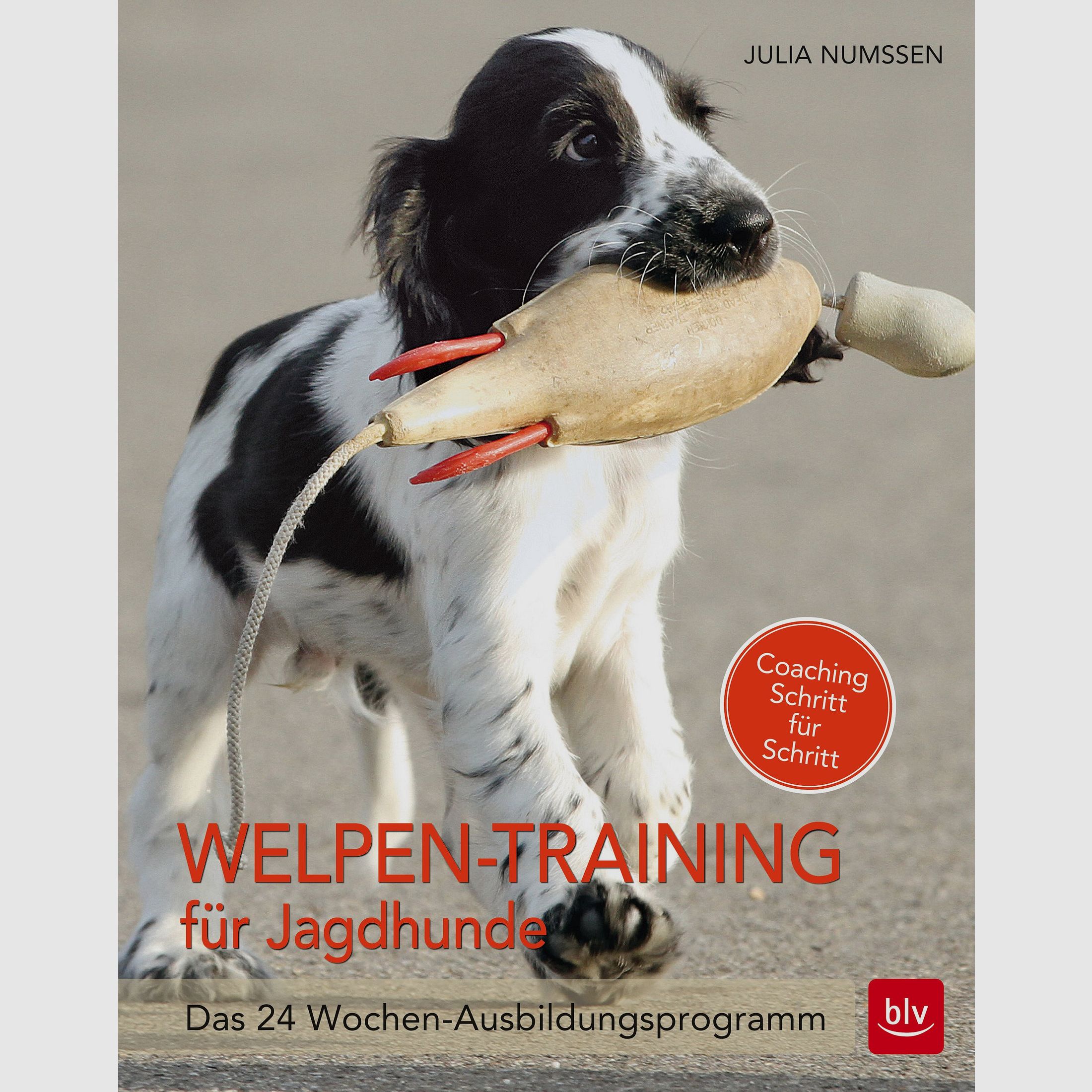 Puppytraining voor jachthonden - Het 24 weken durende trainingsprogramma