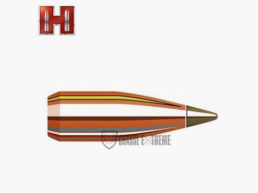 100 Proiettili HORNADY 22 cal 224 35Gr NTX