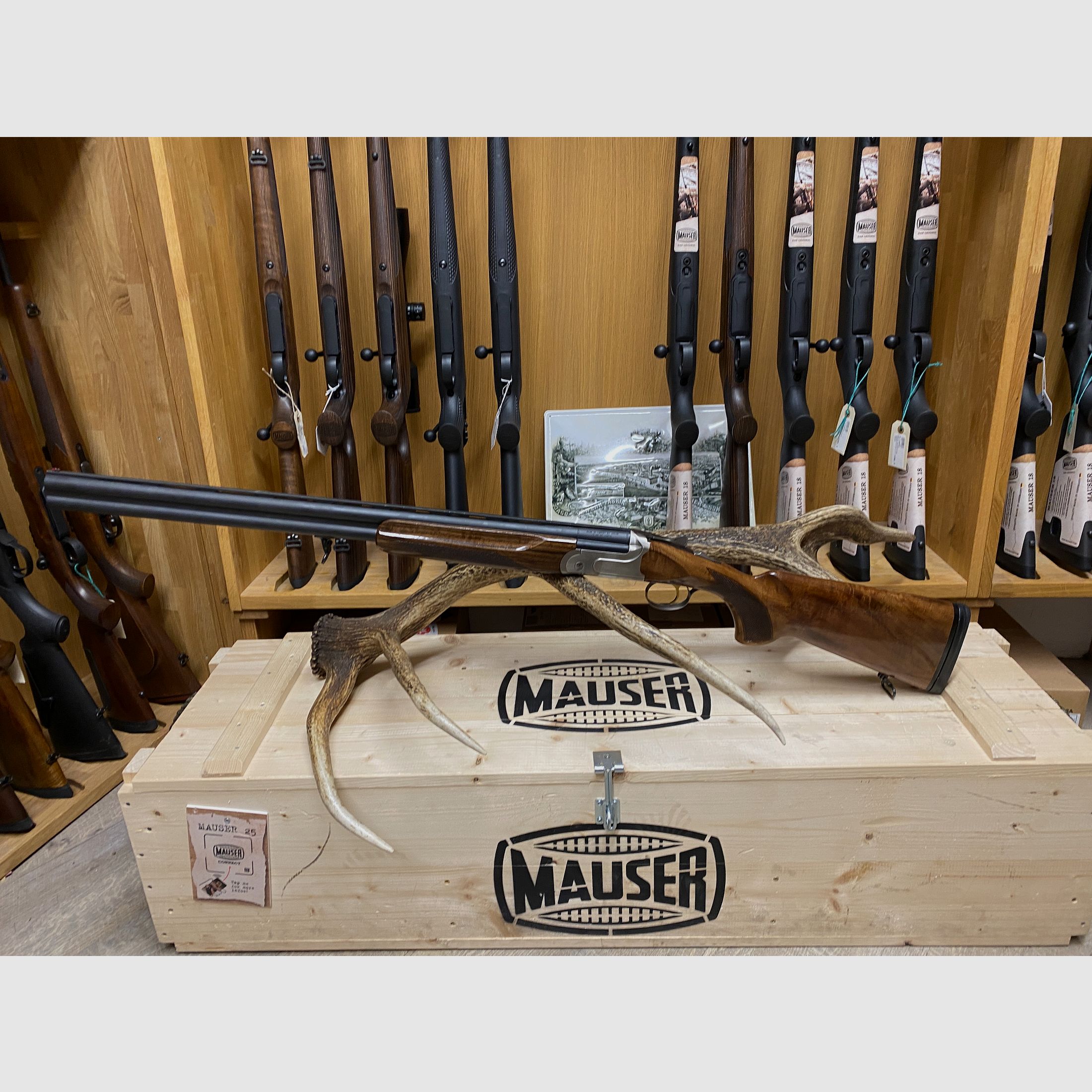 Akkar Churchill 206E, 71cm