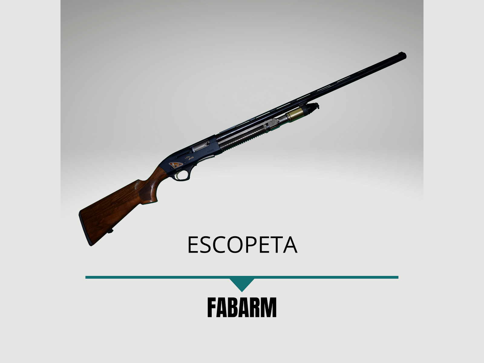 Fusil Semi-Automatique Fabarm, image 1 sur 3
