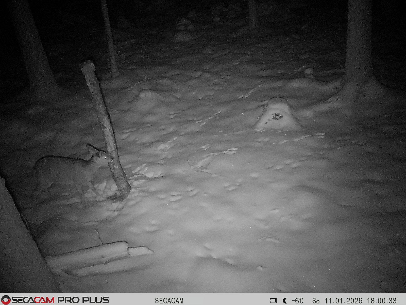 Secacam 