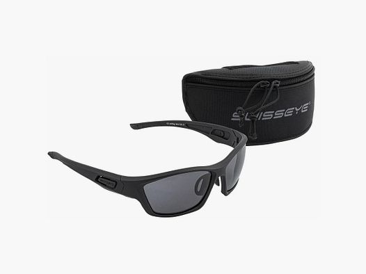 SWISSEYE Schutzbrille TomCat Clear-Smoke -photochrom.
