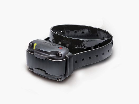 DOGTRA Zusatzhalsband für 640/642C