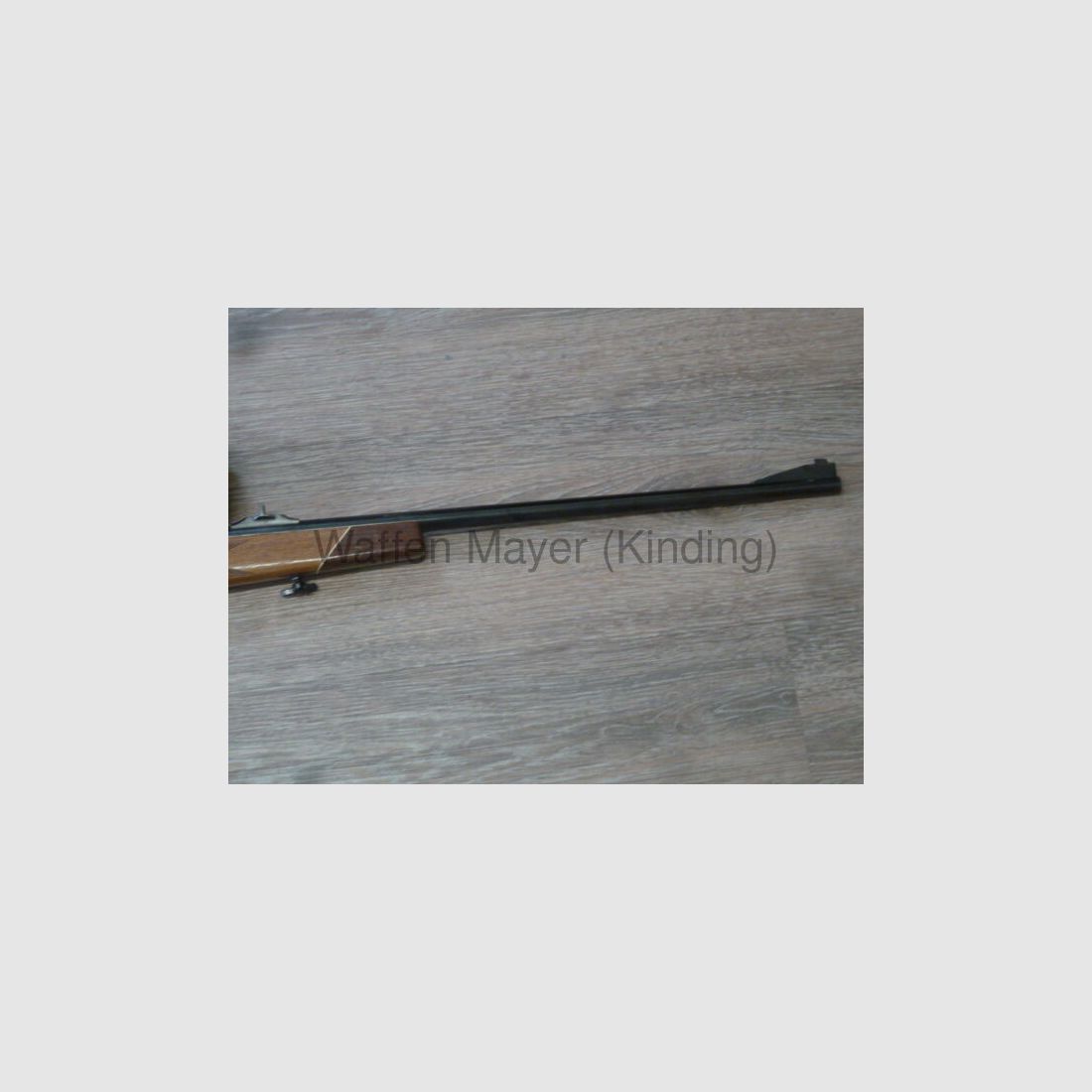 Forest Brigant