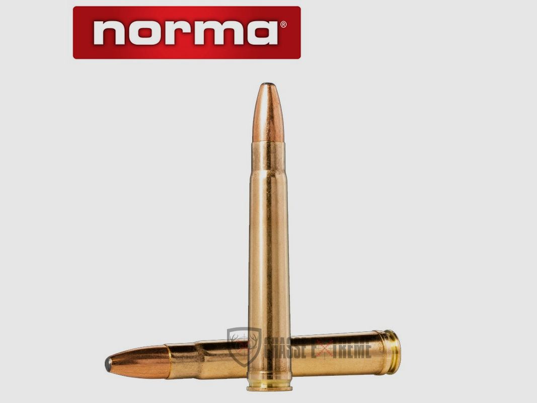 20 cartridges NORMA Cal 375 H&H Mag 300gr Oryx