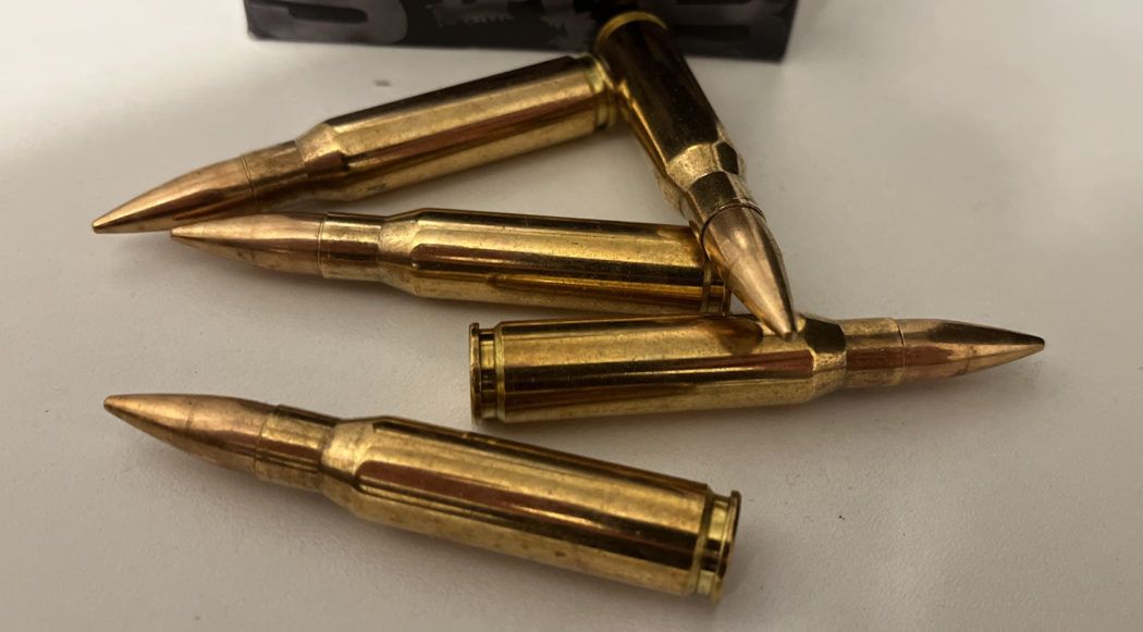 Das Universalkaliber schlechthin .308 Winchester Gunfinder