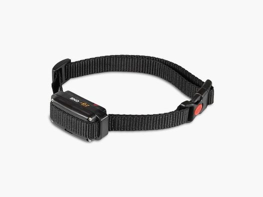 Collar adicional EDGE ONE