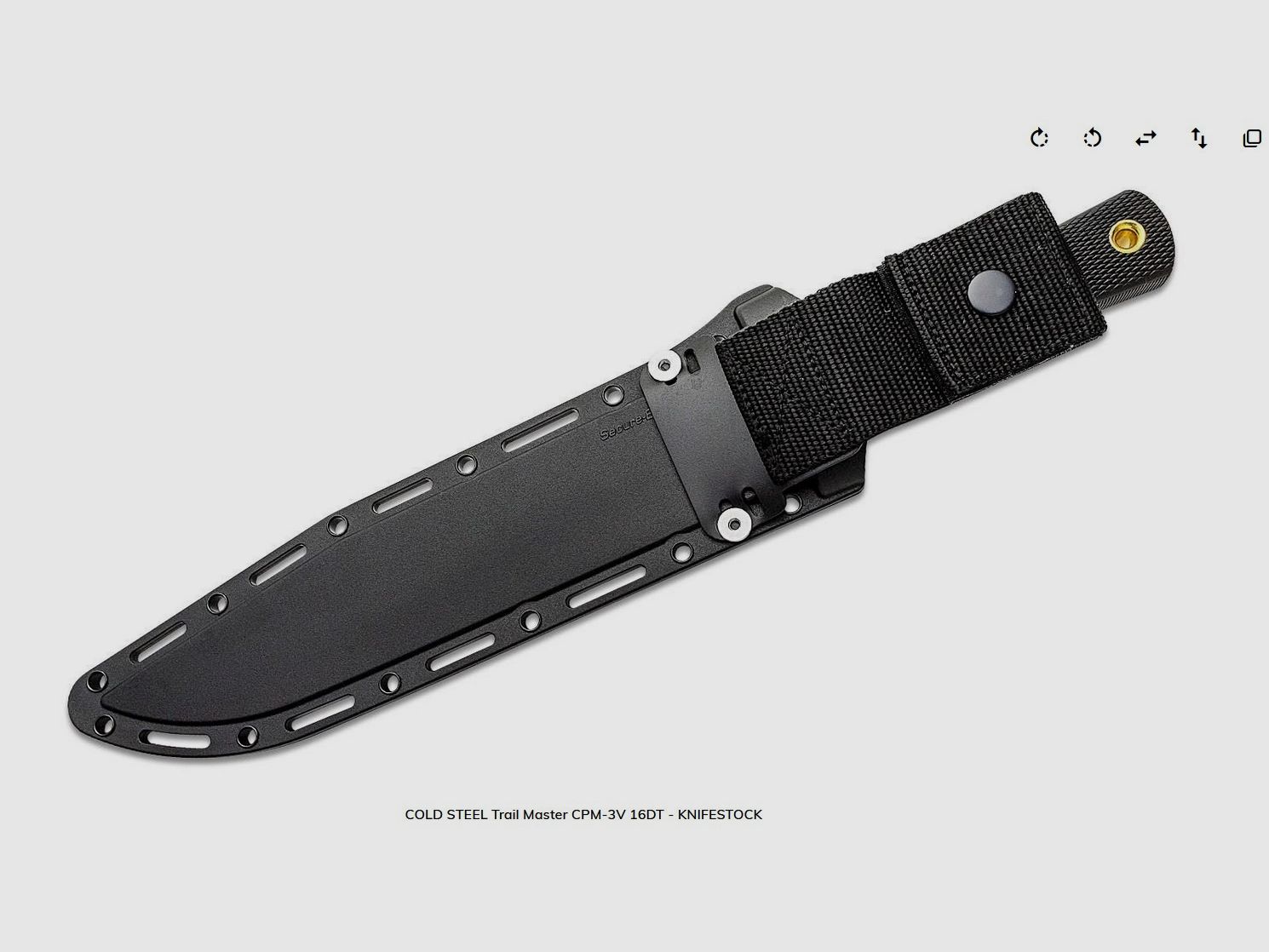 Cold Steel TRAIL MASTER Bowie CPM-3 V