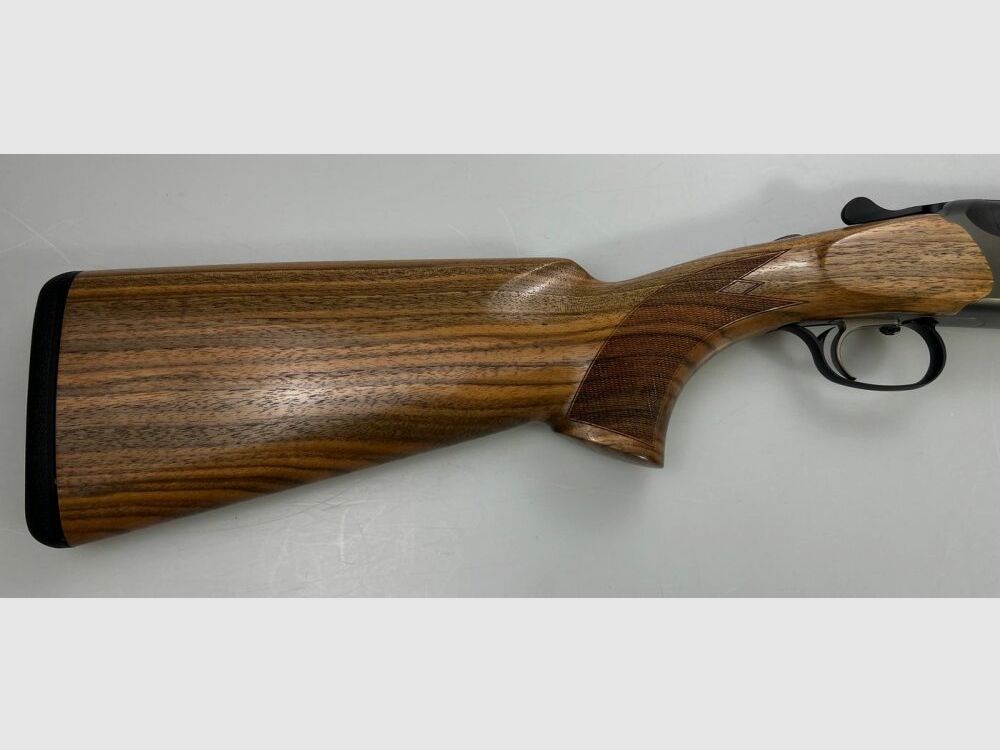 Blaser F16 Game