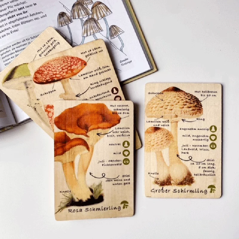 Schede in legno carte di apprendimento funghi set (9 carte), immagine 3 di 3