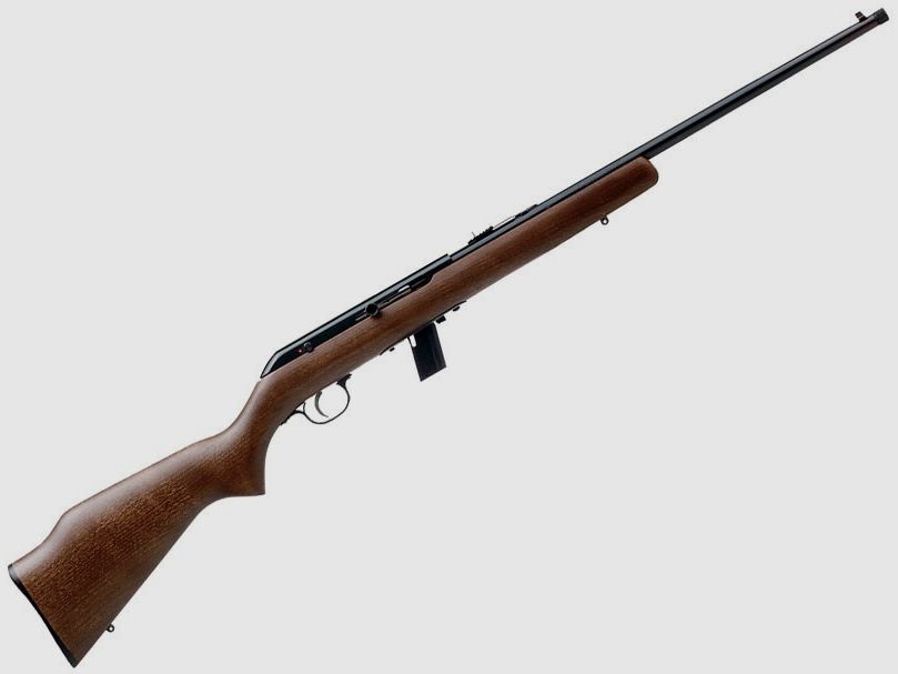 Carabina semiautomática SAVAGE 64 G-SR – 22 LR, imagen 1 de 4
