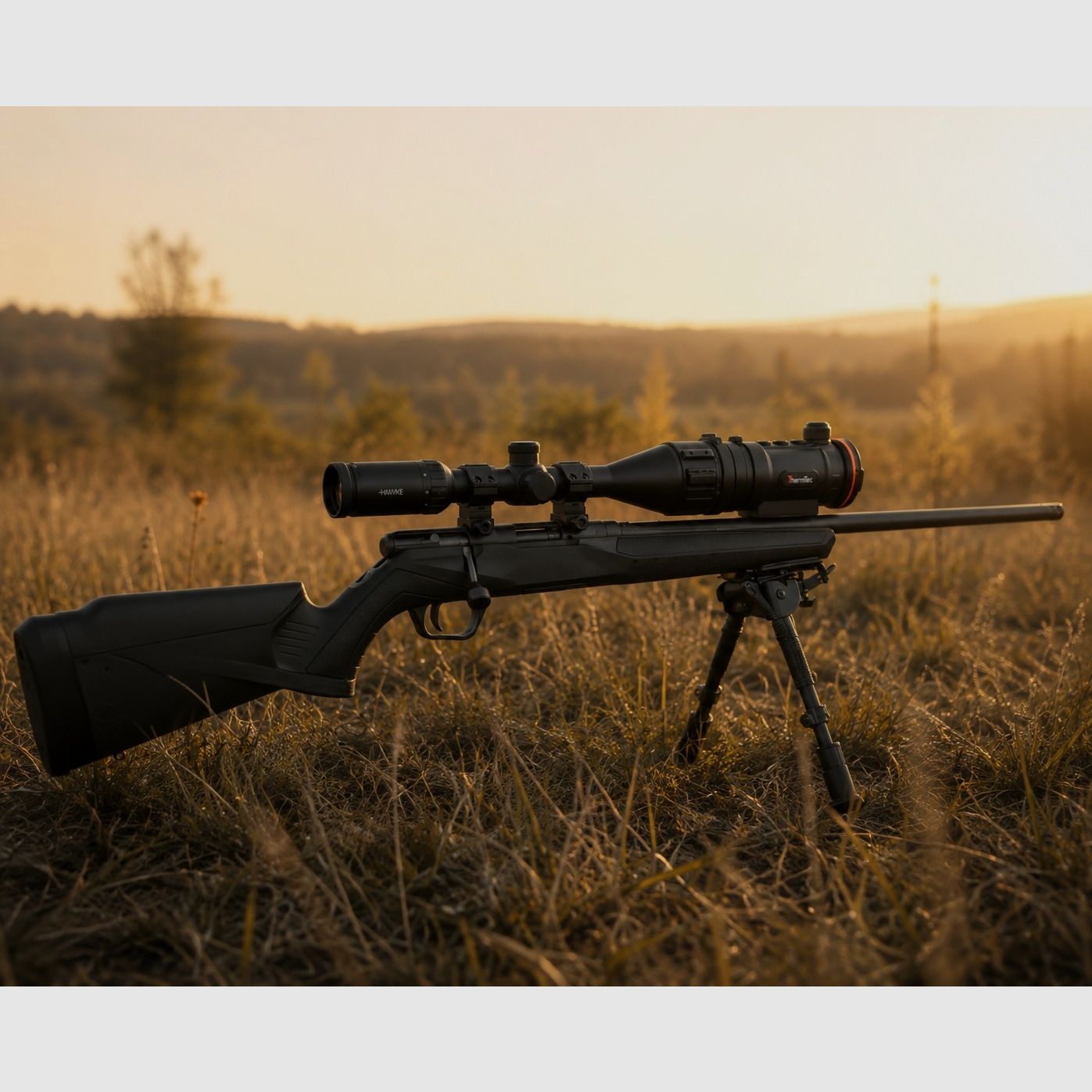 SAVAGE B17 cal. .17hmr selvaggina & Co