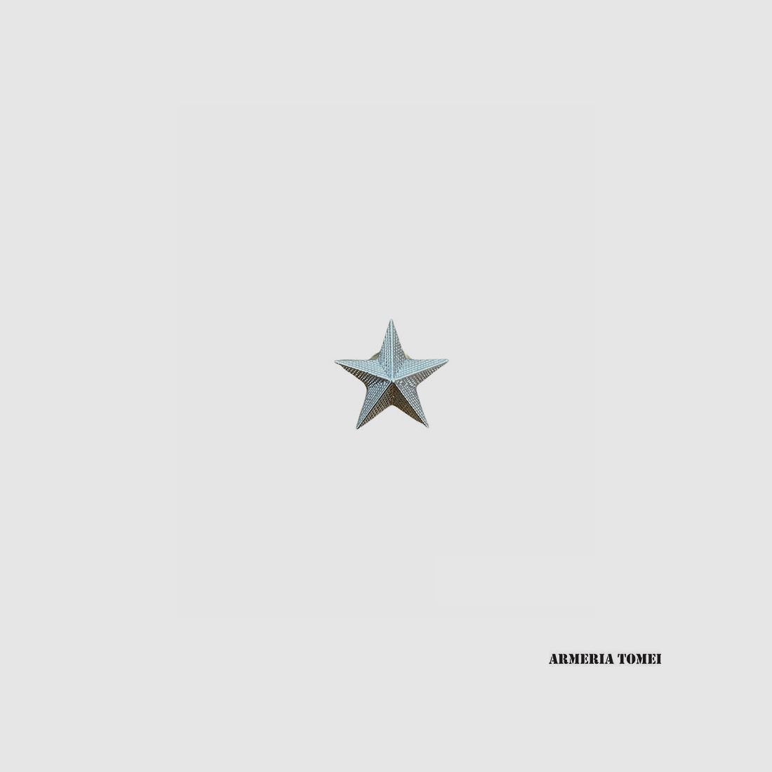 STELLE GRADO ARGENTO (PAAR)