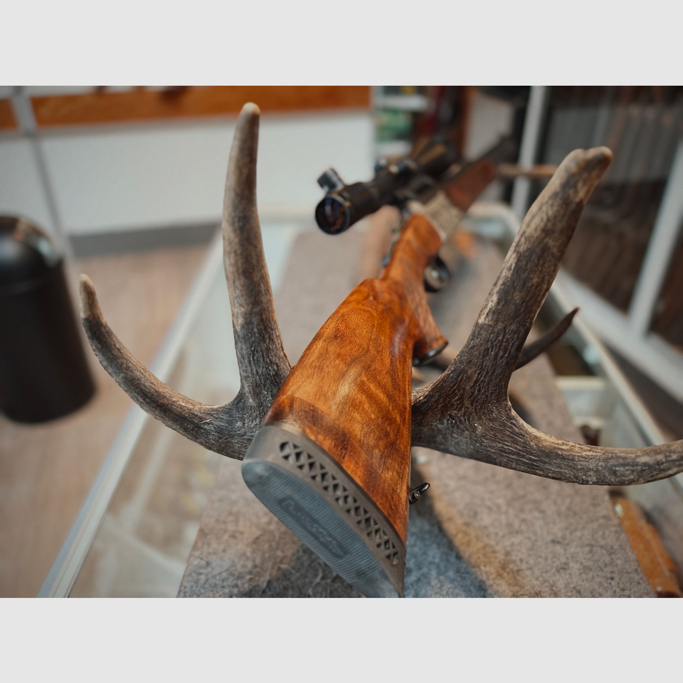 Blaser BBF95 Prestige 8x57IRS