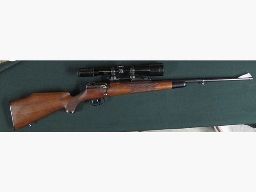 Mauser 66