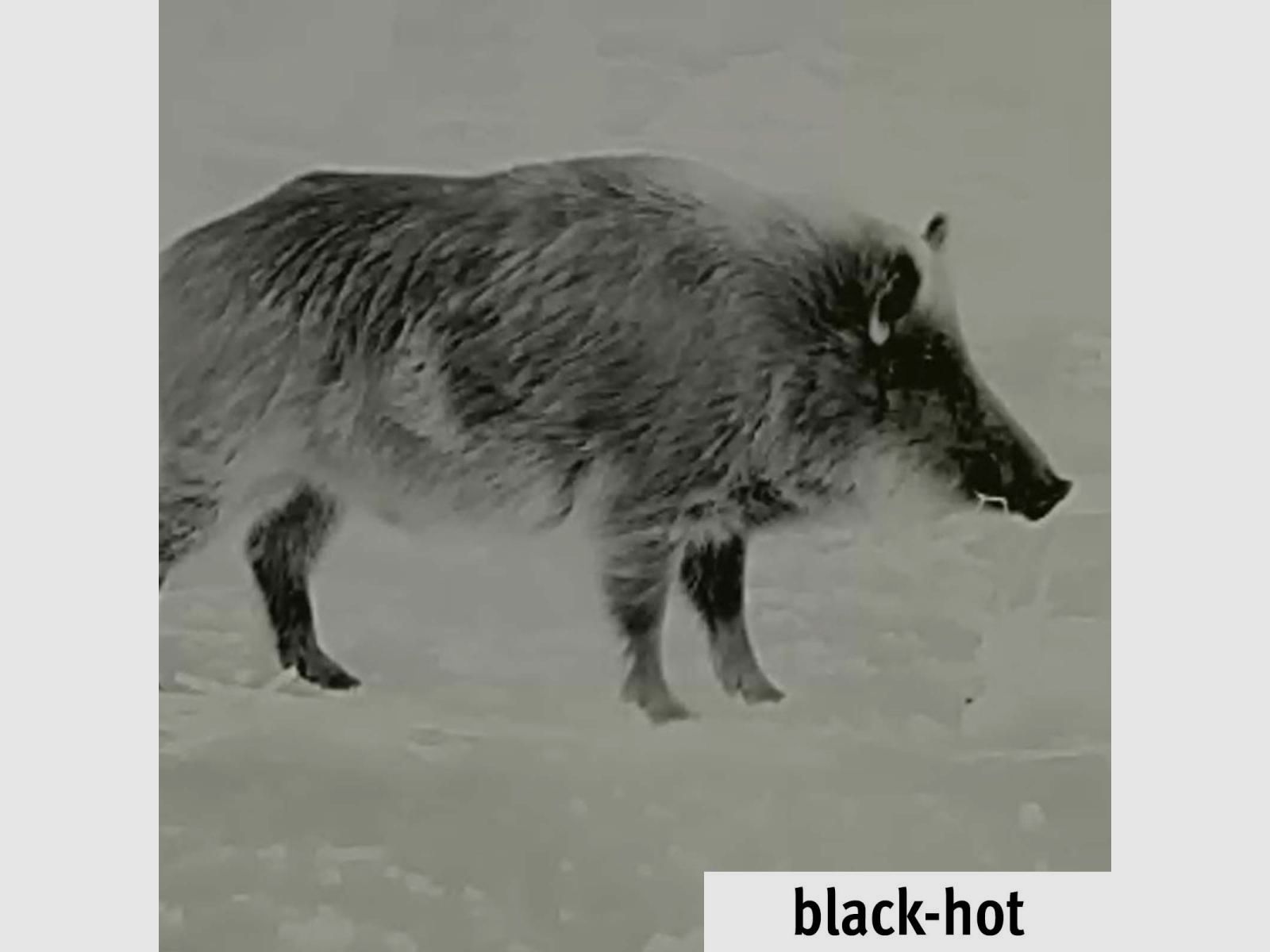 Lahoux Digiclip Pro Nachtsichtgerät