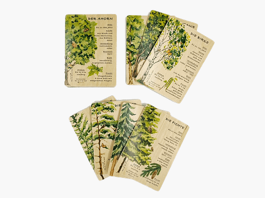 Tarjetas de Madera Tarjetas de Aprendizaje Conjunto Bosque (12 Tarjetas)