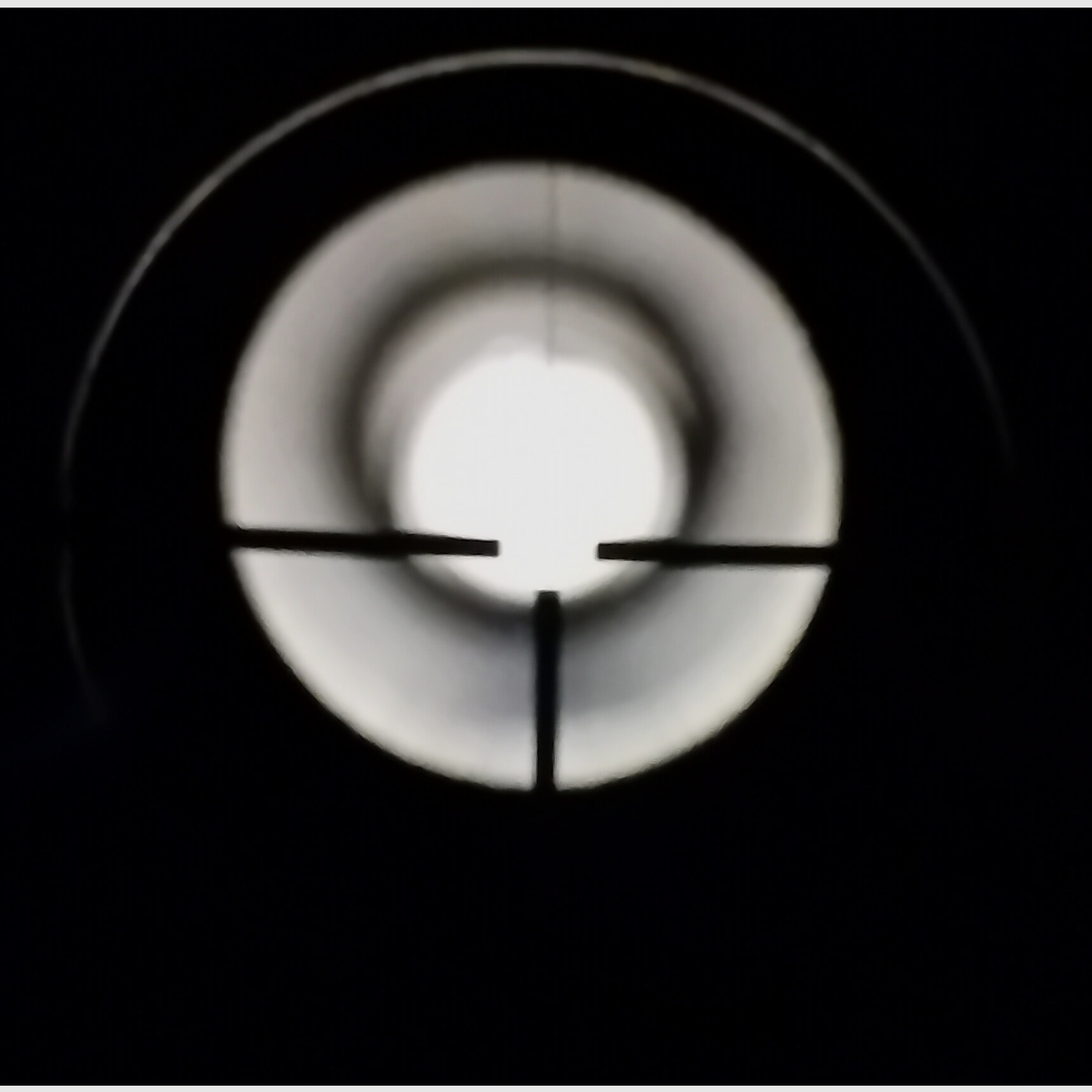 Diana 350 Magnum Premium