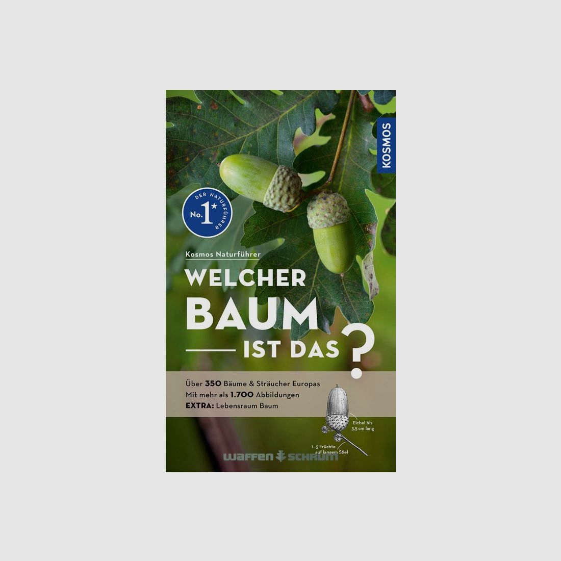 Kosmos Welcher Baum ist das? Spohn