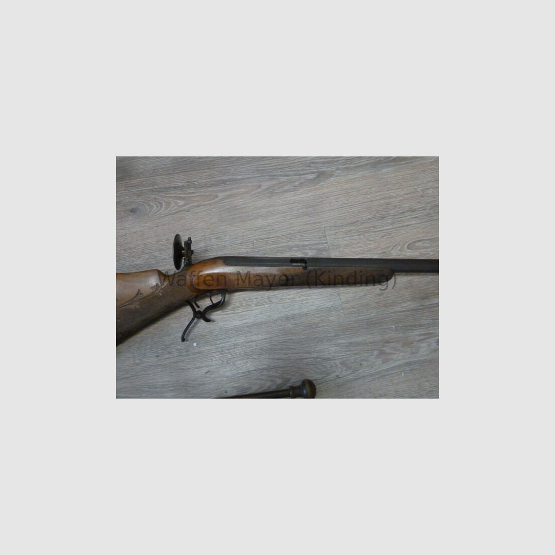 F.Ernst Norymberga strzelba do pokoju