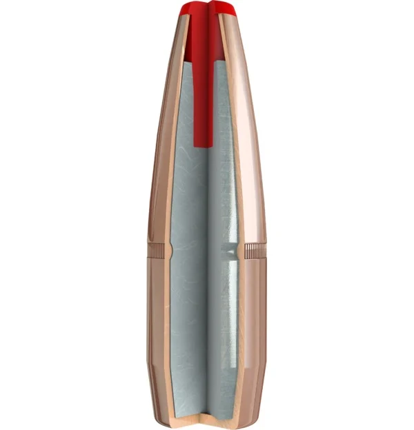 Amunicja Hornady kal.223Rem FTX Critical Defense 73gr/4,73g (20szt), zdjęcie 3 z 4
