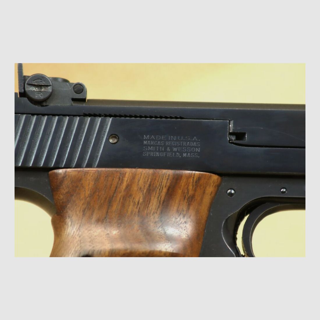 Smith & Wesson 41 .22lr