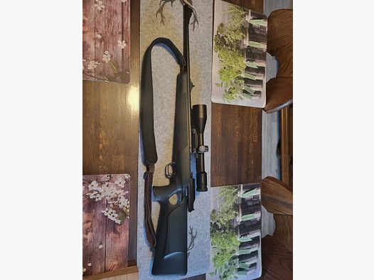 Blaser R93 caliber .243