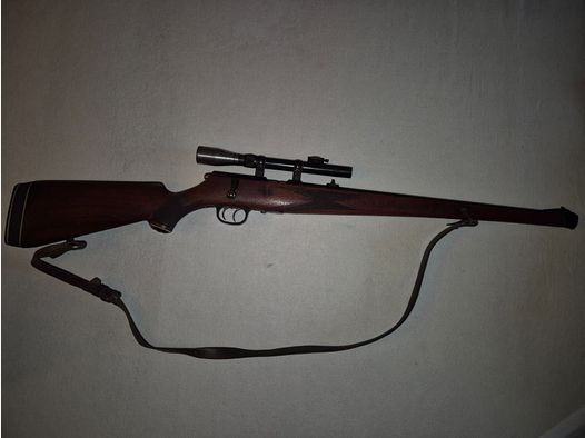 small caliber carbine