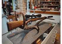 Steyr CL II Semiweight – Kal. .308 Win – Leica Amplus 2,5-15x56