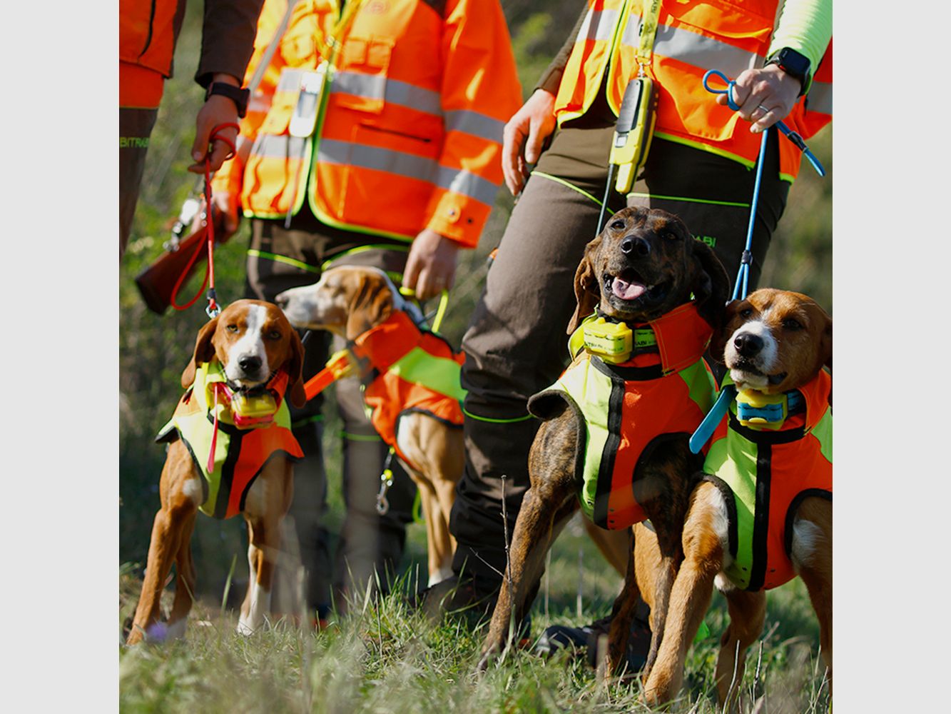 Modulo di addestramento per cani da caccia Mito BTB5000 BITRABI, immagine 2 di 4