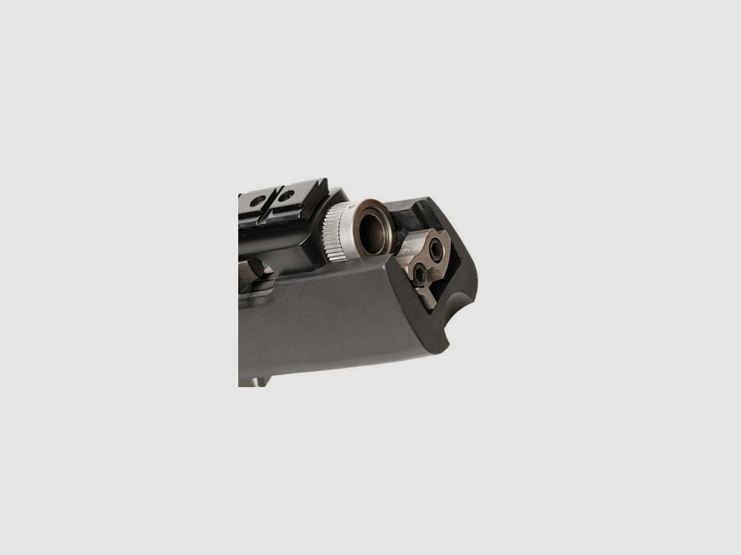 RUGER 10/22 Takedown Target, immagine 11 di 11
