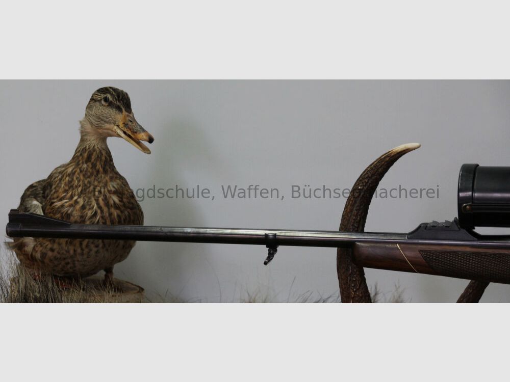 Mauser 2000 mit Swarovski Habicht Nova 3-12 x 56 Abs. 8 beleuchtet - 9,3 x 64, Bild 4 von 8