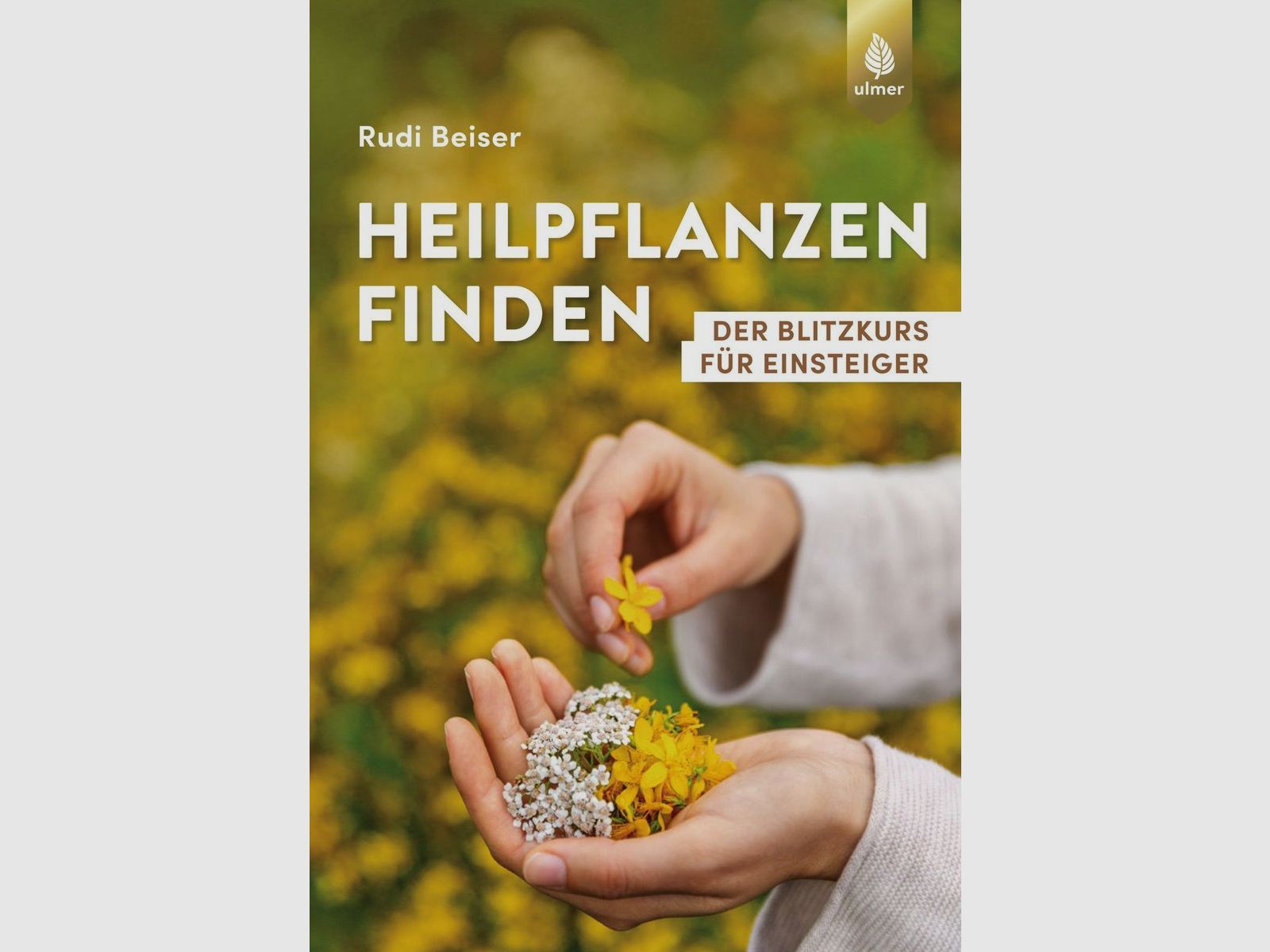 Heilpflanzen finden