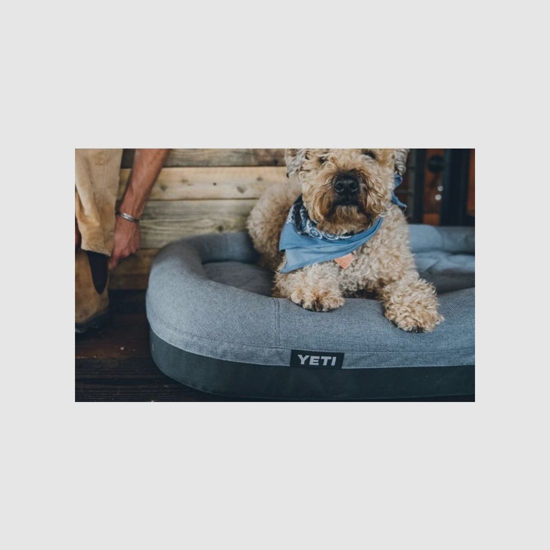 Yeti Hundebett Trailhead Grau
