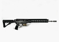 Sig Sauer SG 560 Sport