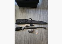 Gamo viper express